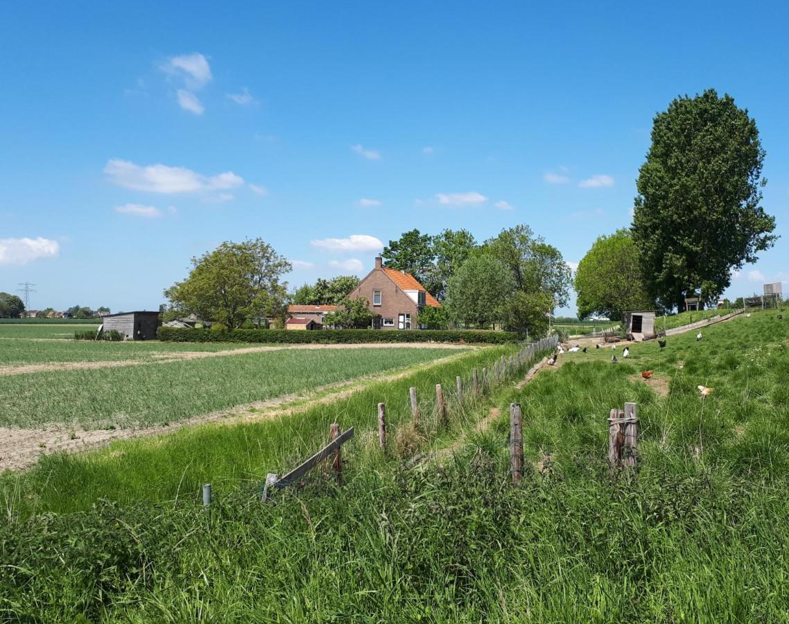 Apartament “In Oans Oefje” Parel In De Polder! Lewedorp Zewnętrze zdjęcie