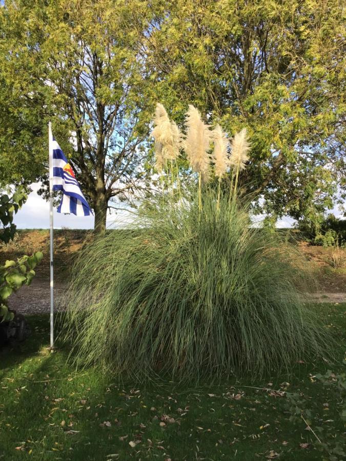 Apartament “In Oans Oefje” Parel In De Polder! Lewedorp Zewnętrze zdjęcie